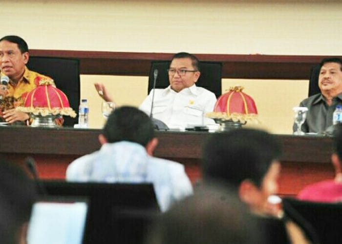 Wakil Gubernur Sulsel