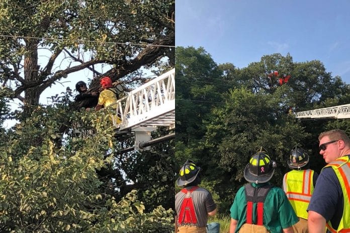 Nekat Terjun Payung Sendiri Wanita Ini Tersangkut di Pohon 3 Jam