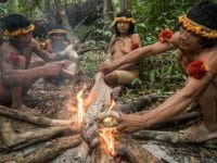 Anggota suku Awa menyiapkan makanan mereka. (Charlie Hamilton James)