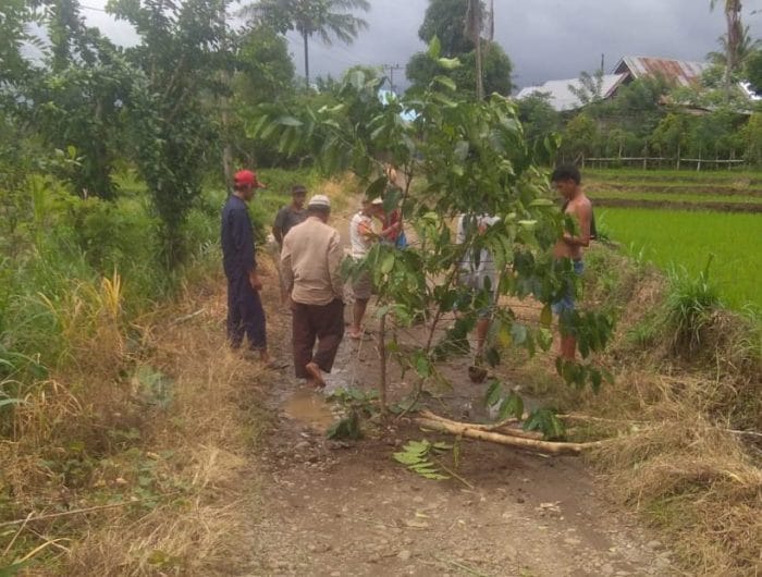 Kondisi jalan di Dusun Galunglohe, Desa Tammaona, Kecamatan Kindang, Bulukumba setelah ditanami pohon oleh warga, Kamis (7/2/2019).