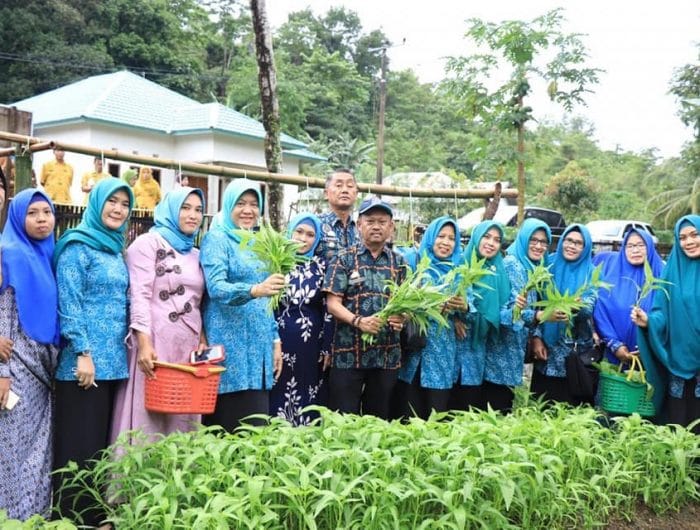 Hasnah Syam Panen Sayur-Mayur Bersama KWT di Mattapawalie