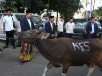 Pemkot Makassar Sembelih 9 Ekor Hewan Kurban