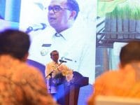 Gubernur Sulawesi Selatan, Nudin Abdullah. (Ist)