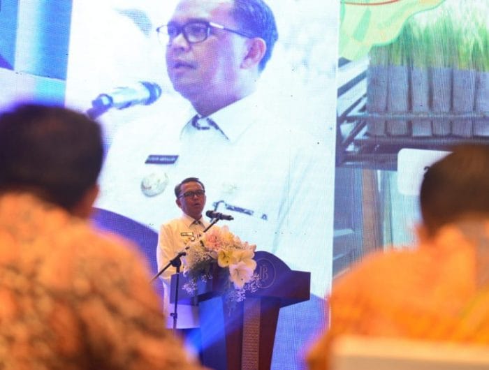 Gubernur Sulawesi Selatan, Nudin Abdullah. (Ist)