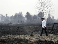 Presiden Joko Widodo meninjau penanganan kebakaran lahan di Desa Merbau, Kecamatan Bunut, Pelalawan, Riau, Selasa, 17 September 2019