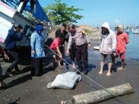 Warga Temukan Mayat Perempuan Terbungkus Seprai di Jembatan Barombong