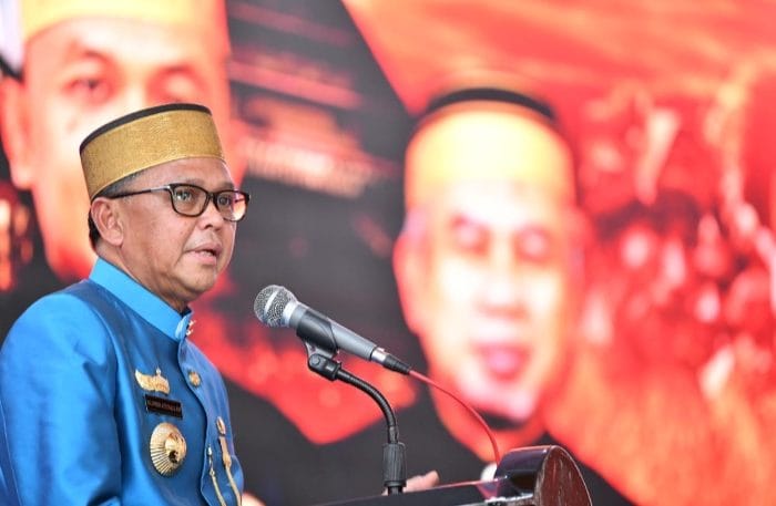 Gubernur Sulawesi Selatan, Nurdin Abdullah. (Foto: Ist)