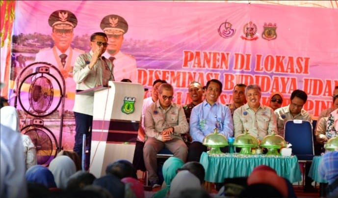 Panen raya Udang Windu, di Demlot Podakan Kabupaten Pinrang, Kamis (26/12/2019).