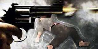 Ilustrasi Penembakan.