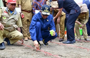 Nurdin Abdullah Launching Dua Varietas Jagung Unggul Bernama NA1 dan NA2