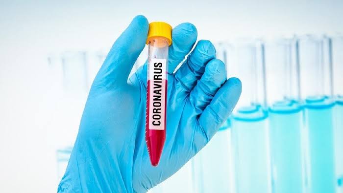 Foto: Ilustrasi Corona (Getty Images