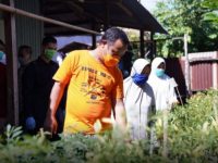 Wagub Sulsel Bantu Bibit Sayur dan Ikan untuk Warga Bara-Baraya