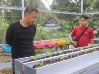 Bupati Selayar Tinjau Kebun Bibit dan Demplot KRPL