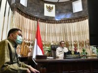 Nurdin Abdullah Dorong Penguatan Kerjasama Daerah untuk Jaga Stabilitas Ekonomi