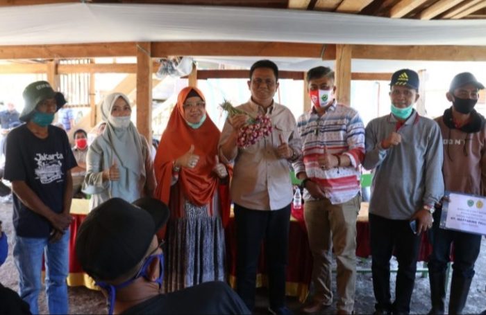 Bupati Barru Suardi Saleh saat bersilaturahmi dengan petani Bawang Merah di Paddumpu, Desa Balusu, Barru.