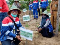 Pertamina Bersama Rumah Hijau Denassa Lestarikan Spesies Endemik Asli Makassar