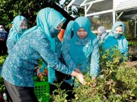Musrifah Basli Silaturahmi dengan Kelompok Wanita Tani Bontosikuyu