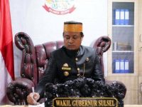 Wakil Gubernur Sulsel, Andi Sudirman Sulaiman