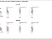 Produksi Pertanian di Bantaeng Meningkat Sepanjang 2020