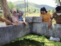 Dinas PKP Kota Parepare serahkan bibit ikan kepada pembudidaya