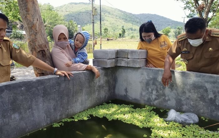 Dinas PKP Kota Parepare serahkan bibit ikan kepada pembudidaya