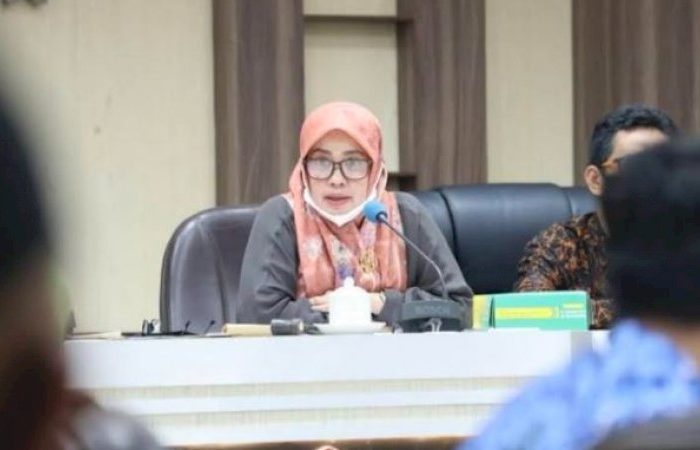 Wakil Ketua DPRD Kota Makassar, Andi Suhada Sappaile