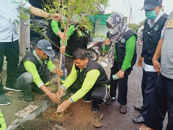 Hari Tanam Pohon Indonesia, Bappeda Parepare Dukung Program Pengembangan Kota Hijau