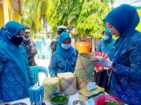 Dwiyanti Musrifah Basli, Evaluasi Pelaksanaan 10 Program Pokok PKK Kec. Pasimarannu