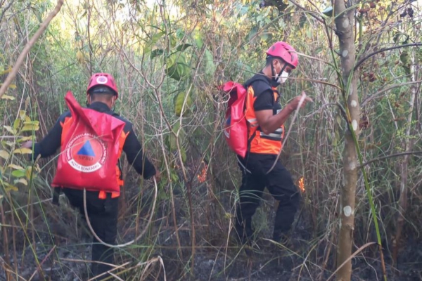 Karhutla di Bontang Lestari, BPBD Bontang Sigap Padamkan Api