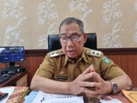 Wakil Wali Kota Parepare, Pangerang Rahim