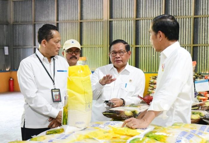 Jokowi tinjau gudang bulog batangase maros