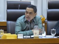 Charles Meikyansah: Kelas Menengah Jangan Diabaikan dalam Paket Stimulus Ekonomi