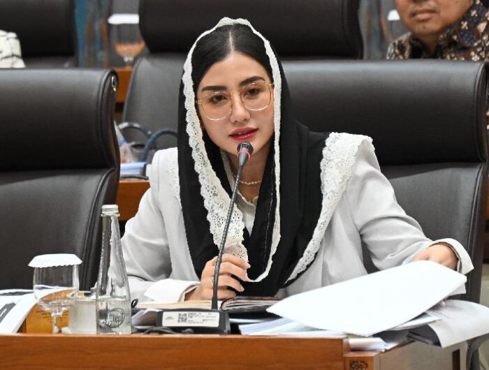 Novita Hardini Tolak Tambang Nikel di Raja Ampat