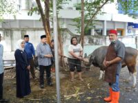 Wali Kota Munafri dan Wawali Aliyah Saksikan Penyembelihan Hewan Kurban Pemkot Makassar