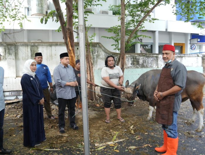 Wali Kota Munafri dan Wawali Aliyah Saksikan Penyembelihan Hewan Kurban Pemkot Makassar