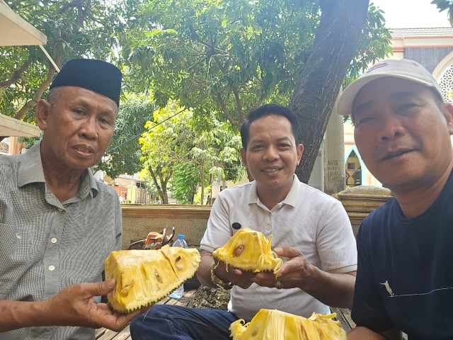 Urban Farming ala H. Sukardi Latief, Hijaukan Blok M BTP dan Wujudkan Kemandirian Pangan