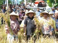 Pemkot Makassar Optimalkan Lahan Sempit untuk Pertanian