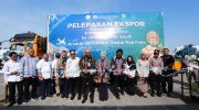 Fatmawati Lepas Ekspor 10,2 Ton Kemiri Luwu ke Jeddah, Perkuat Daya Saing UMKM Sulsel di Pasar Global