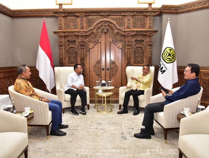 Gubernur Sulsel Temui Menteri ESDM, Bahas Program Listrik Desa dan Kebutuhan BBM Kepulauan