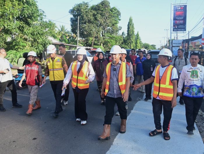 Tinjau Progres Ruas Pangkajene-Rappang Sidrap, Gubernur Sulsel Bidik Kelancaran Mobilitas dan Ekonomi Warga