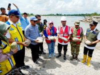 Bangun Tanggul 200 Meter di Sungai Rongkong, Langkah Gubernur Sulsel Tangani Banjir di Luwu Utara