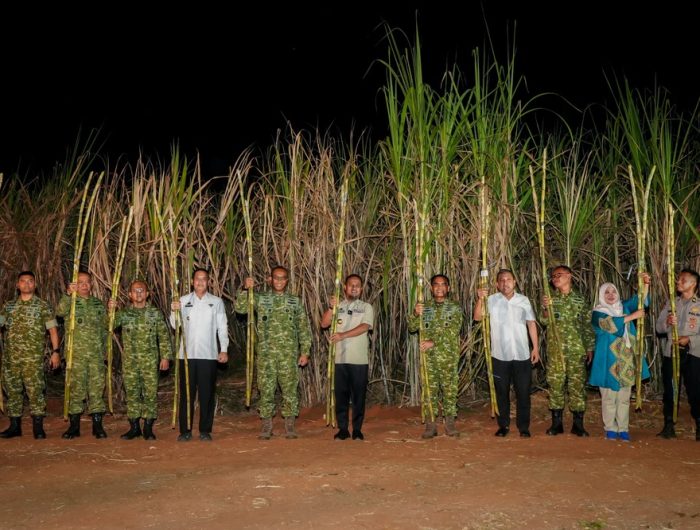 Gubernur Sulsel Hadiri Panen Raya Tebu Bersama TNI, Tegaskan Dukungan pada Program Presiden Prabowo