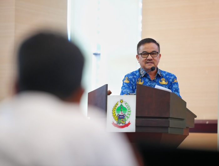 Pemprov Sulsel Optimis Produksi Padi Tembus 6 Juta Ton melalui Program Pertanian Modern
