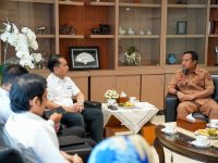 Gubernur Sulsel dan Kemenkeu Bahas Kondisi Fiskal dan Transfer Keuangan Daerah