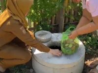 Cukup Pilah Sampah dari Rumah! Sarana Pengelolaan Terintegrasi Kelurahan Panaikang Jawab Kekhawatiran Warga